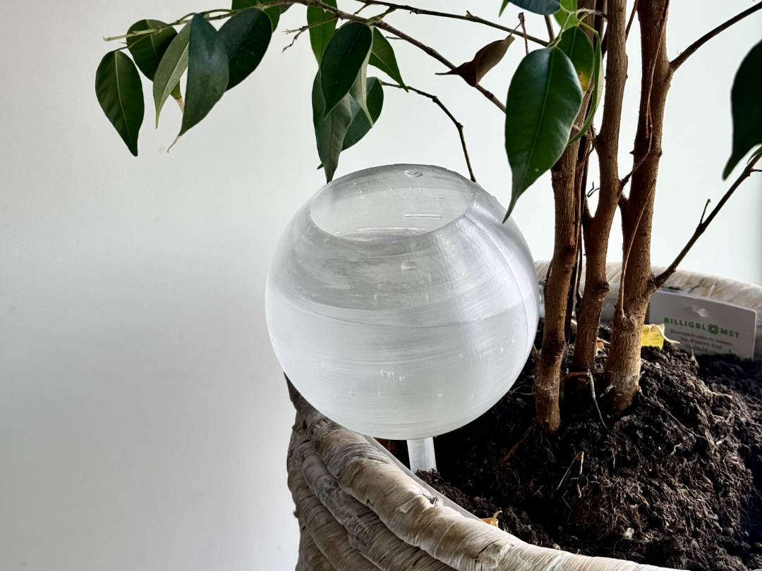 Self Watering Globe