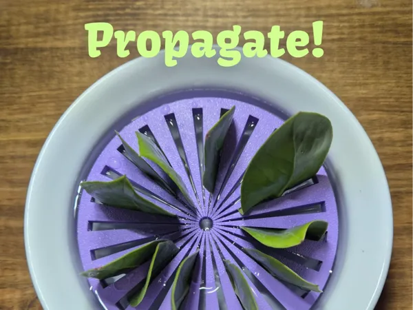 https://makerworld.bblmw.com/makerworld/model/USe1aa8646aae3a2/design/2025-04-08_d4e916407452f.jpg