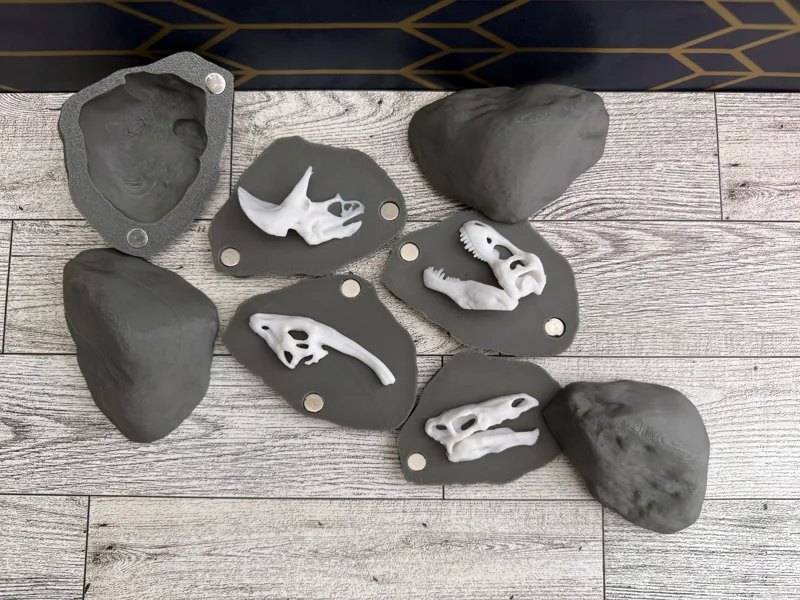 Dinosaur Fossil - Hide a Rocks