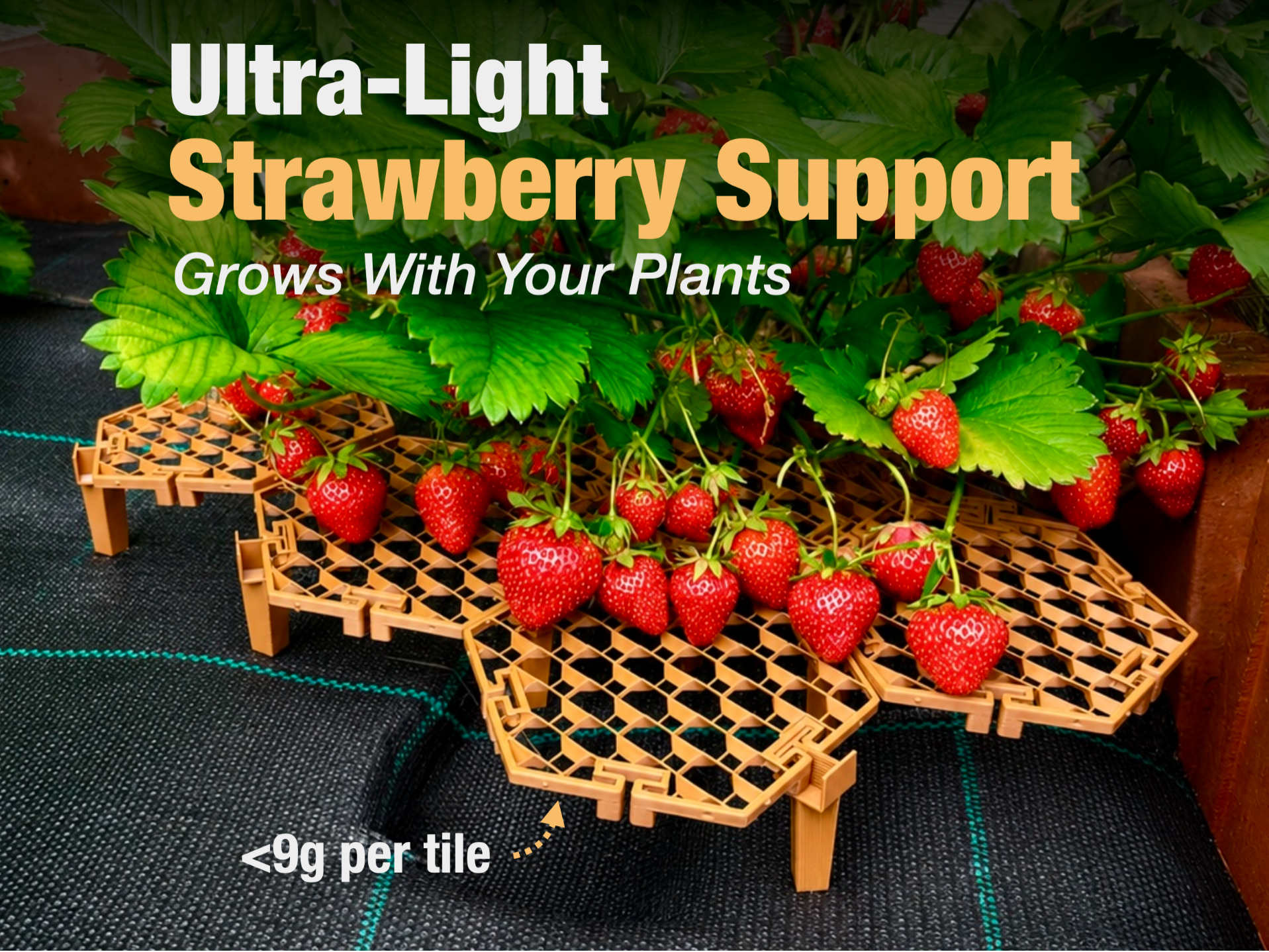 Strawberry Support - Ultra-Light & Expandable - 1