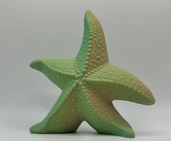 https://makerworld.bblmw.com/makerworld/model/USe1b3081cd8a827/design/2024-06-27_9c1dff60a083.jpeg