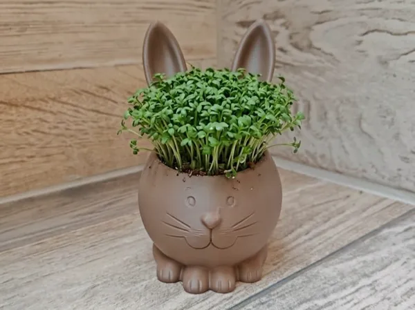 https://makerworld.bblmw.com/makerworld/model/USe1b392e380f6/design/0a5db170d547915c.jpeg