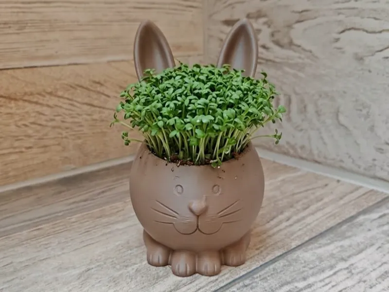 Hasenkresse Bunny – Niedlicher Kräutertopf