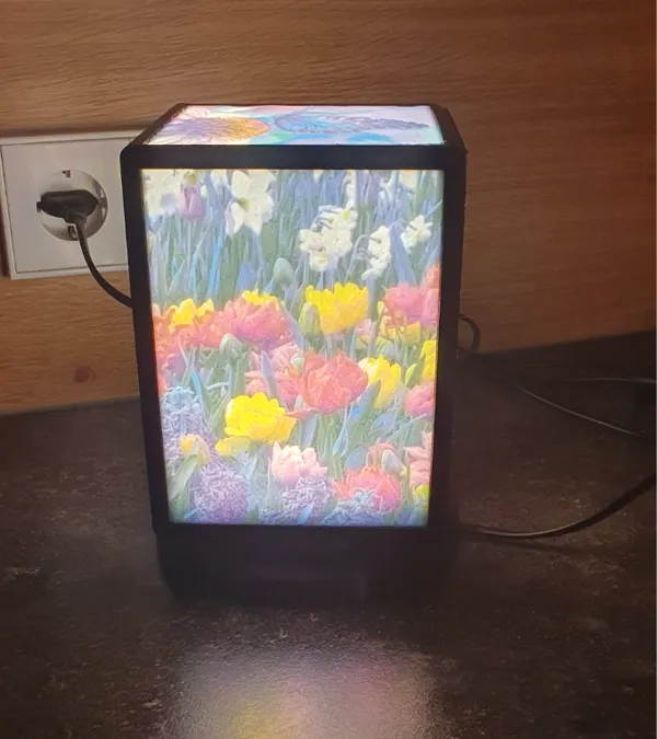 https://makerworld.bblmw.com/makerworld/model/USe1c02e1f7d2dfe/design/2024-11-24_7d8a30f25dd.jpg