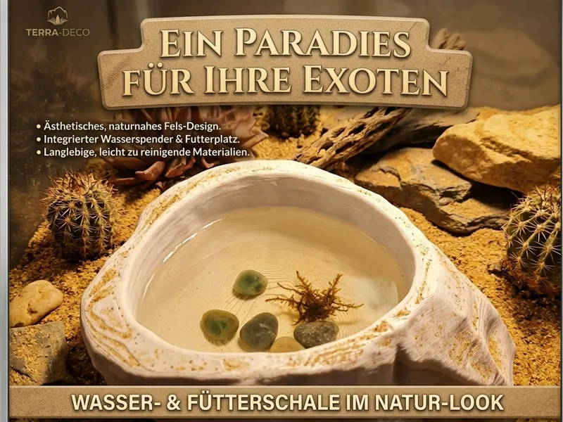 Steinschale