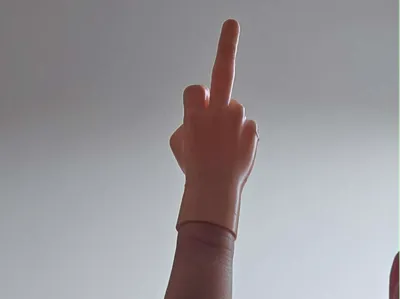 Middle Finger for Your Middle Finger
