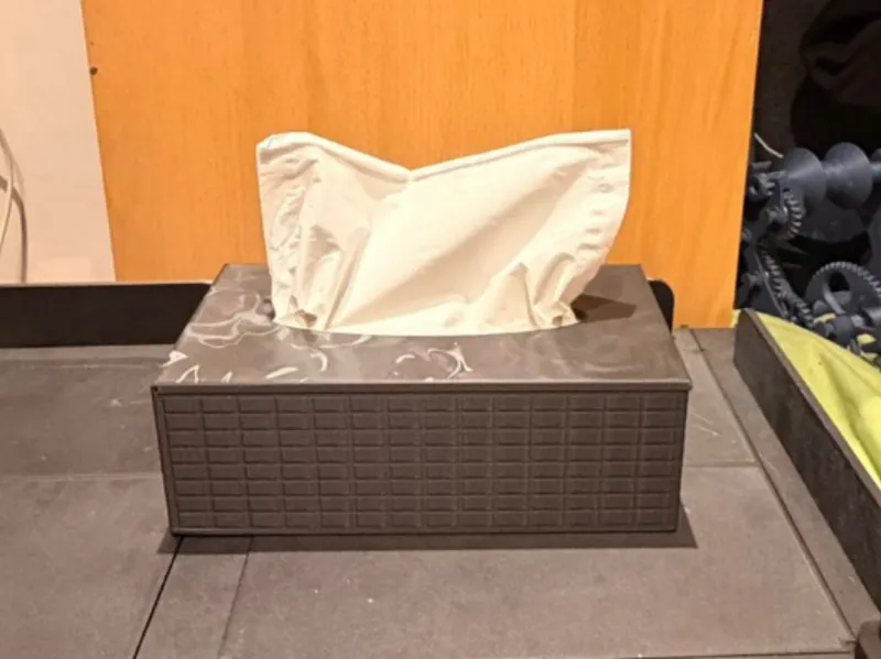 Taschentuchbox / Tissuebox