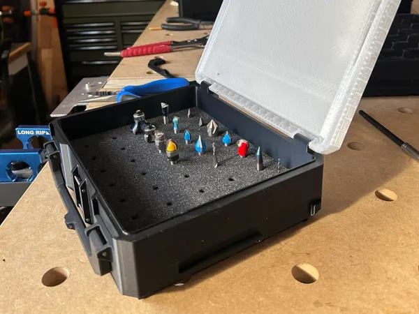 https://makerworld.bblmw.com/makerworld/model/USe1d61be3c055e5/design/32383e7b15828e40.jpeg