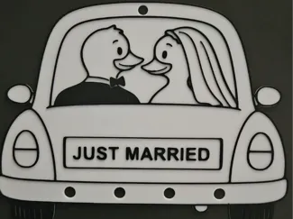 Car with Duck Bride and groom - Cash gift |Remix