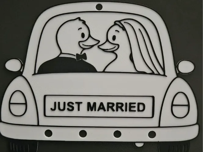 Car with Duck Bride and groom - Cash gift |Remix