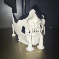 variable layer height, Height range modifier-lower the speed