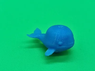 cute whale model