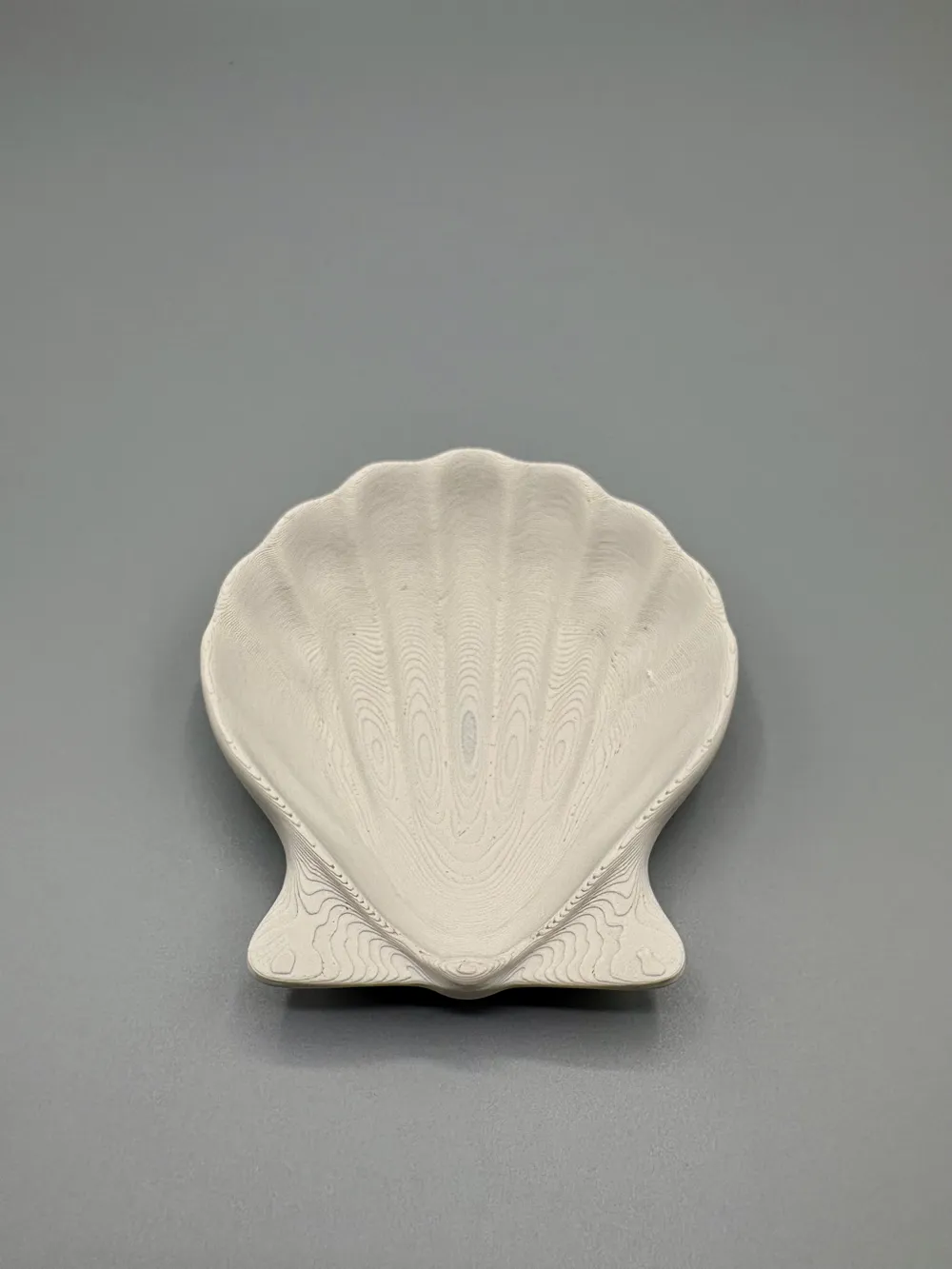 Coastal Shell Jewelry Tray Dish for Rings Bracelet - Free 3D Print ...