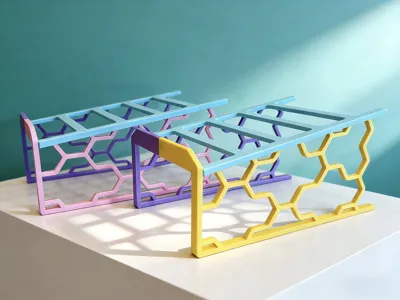 Triple Color Shoe Organizer