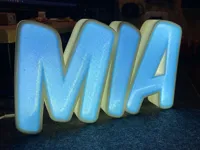 0.2mm layer, 2 walls, 15% infill