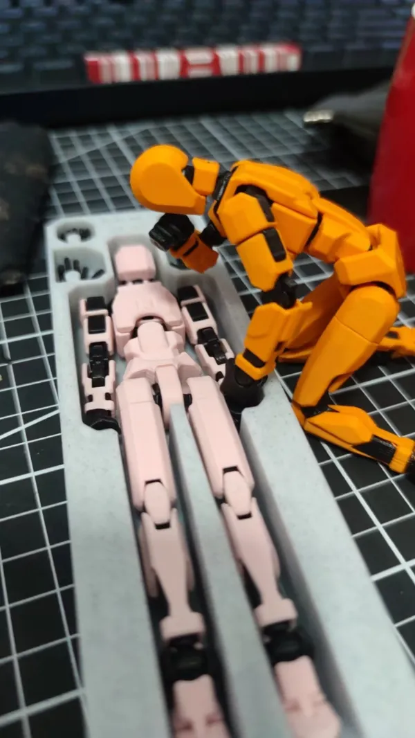 https://makerworld.bblmw.com/makerworld/model/USe1e2be528ee2b2/design/2024-03-28_9b0a7677372cd.jpg