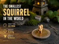 0.08mm layer, 2 walls, 15% infill