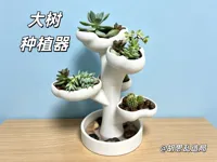 256打印机 一体打