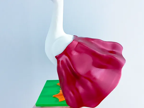 https://makerworld.bblmw.com/makerworld/model/USe1e635dcb4b7f2/design/23099565c7ab5080.jpg