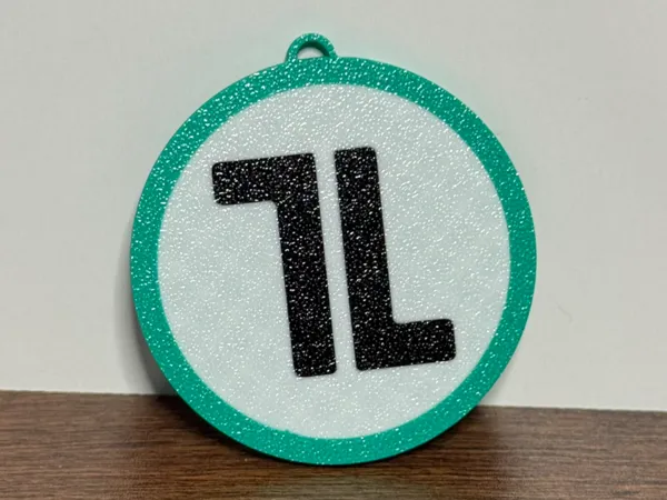 https://makerworld.bblmw.com/makerworld/model/USe1e89ffd869cad/design/dd16a7f0d52344da.jpeg
