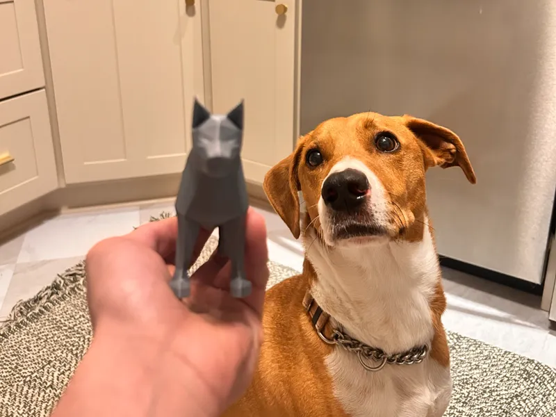 Louie the Low Poly Dog