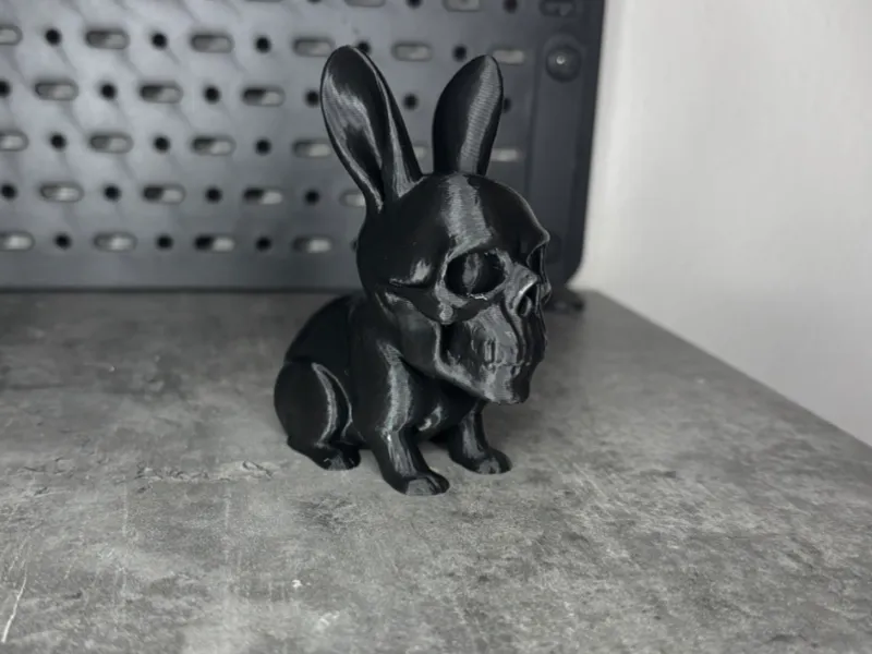 Skeleton Skull Rabbit