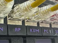 Patch Panel (2/3U)