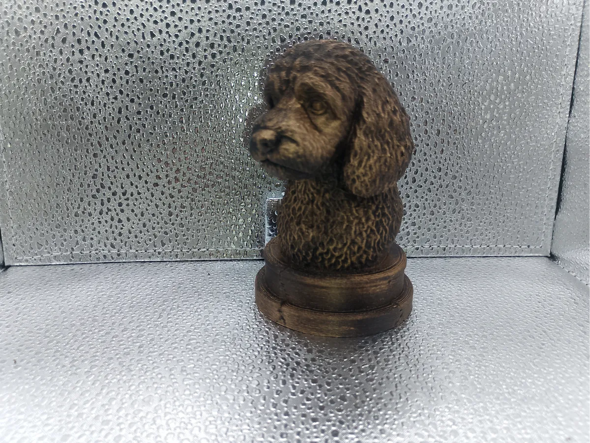 Cockapoo Models Cockapoo Bust - Free 3D Print Model - MakerWorld