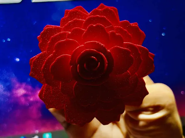 https://makerworld.bblmw.com/makerworld/model/USe1f339a8ddcd21/design/2025-10-04_f96c21a2d29b18.jpg