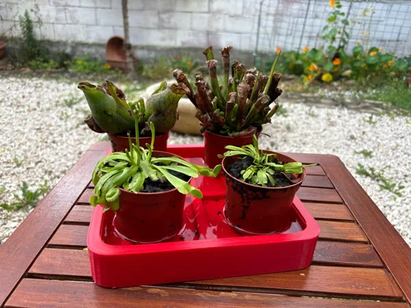 https://makerworld.bblmw.com/makerworld/model/USe1f9dcd65bb1e2/design/2025-04-21_570dcb616e8d68.jpg