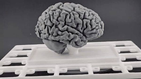 https://makerworld.bblmw.com/makerworld/model/USe2067537afcd04/design/2025-10-08_8658ee0ed7cf58.gif