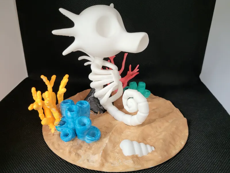 Horsea sekeleton
