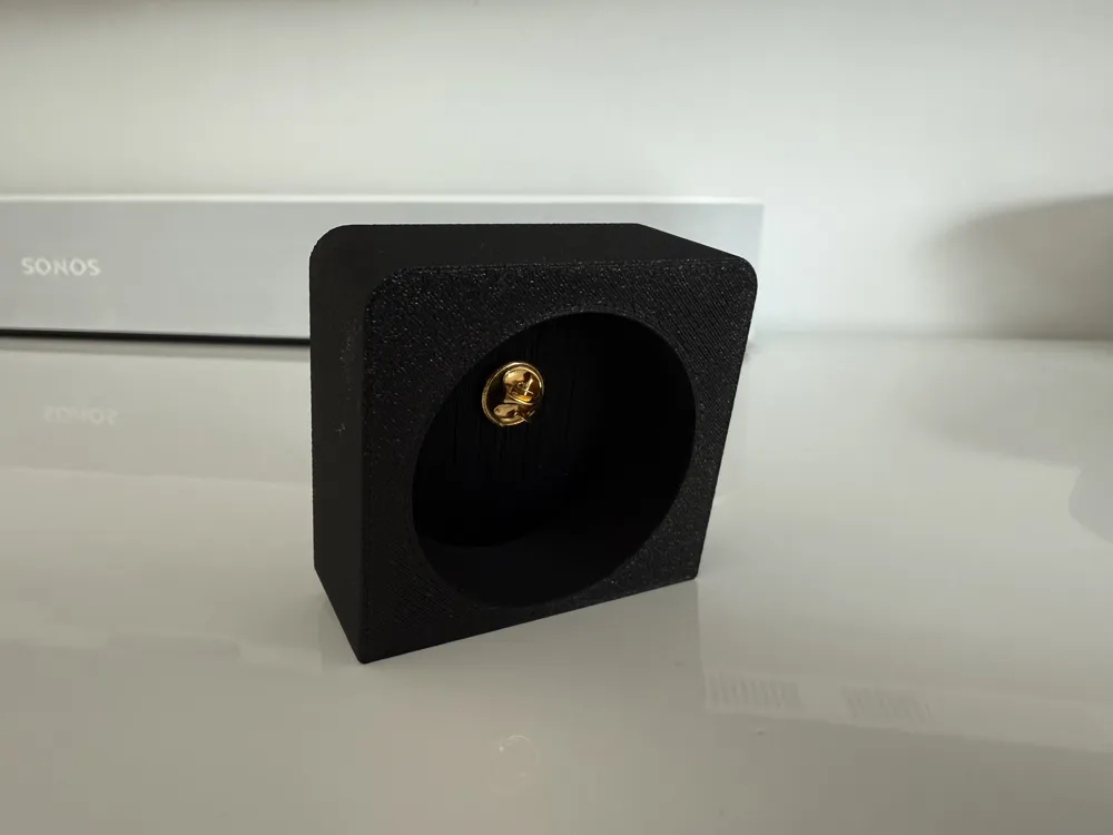 Apple Watch Close Your Rings Day Pin Display by Bas van der ...