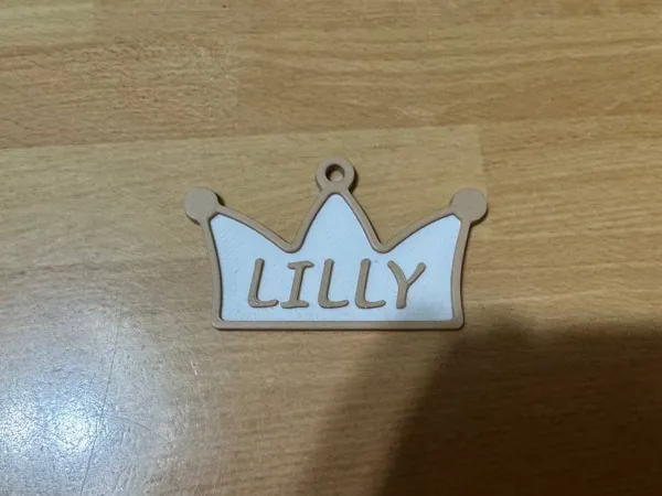 https://makerworld.bblmw.com/makerworld/model/USe213916318a1c1/design/2025-01-14_84a4172d94f5c8.jpg