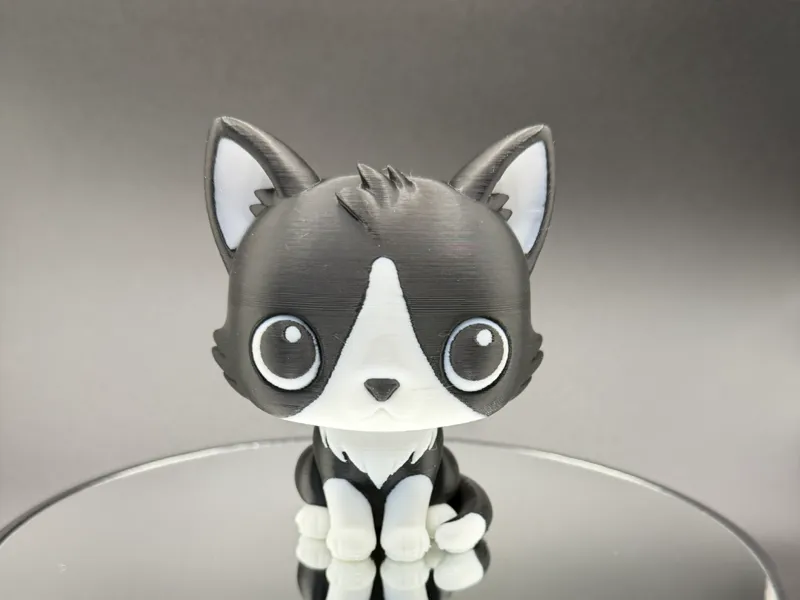 Archie Cat - AMS