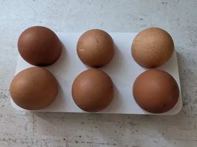 Egg Holder – 6 Slots for Medium-Size Eggs