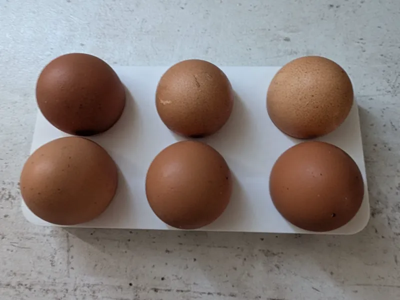 Egg Holder – 6 Slots for Medium-Size Eggs