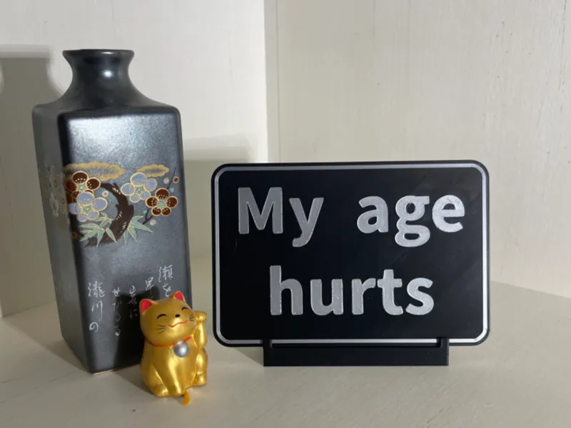 My Age Hurts Desk Sign