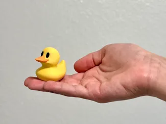 Lucky Ducks