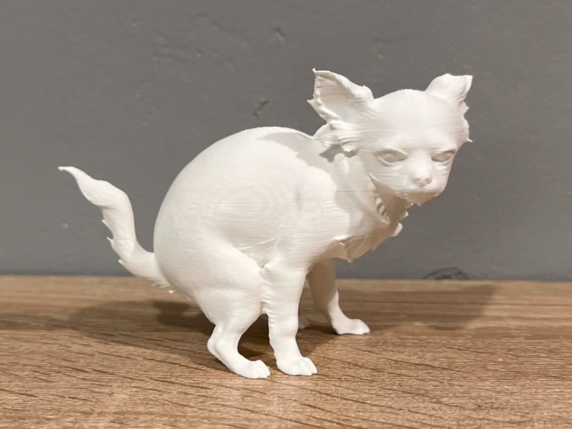 Pooping Chihuahua - Dog - Animal 