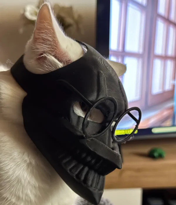 https://makerworld.bblmw.com/makerworld/model/USe2284370cdcceb/design/2024-12-23_cb0b85d54281a8.jpg