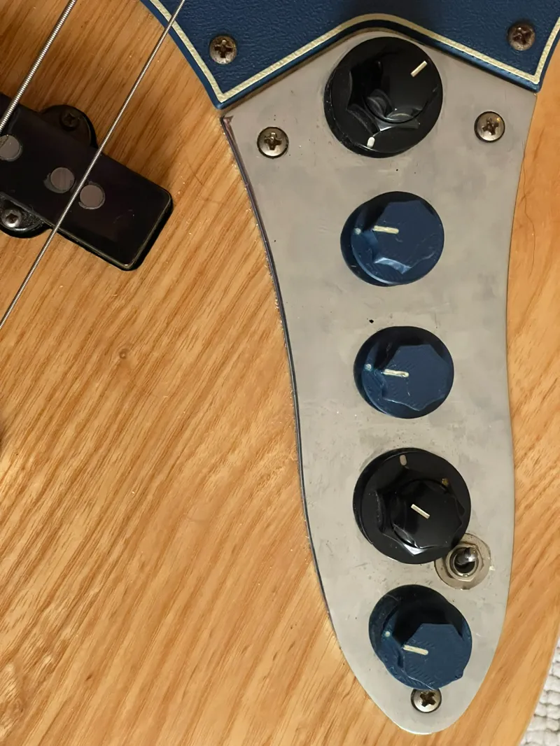 Bass Guitar Potentiometer 2 colors