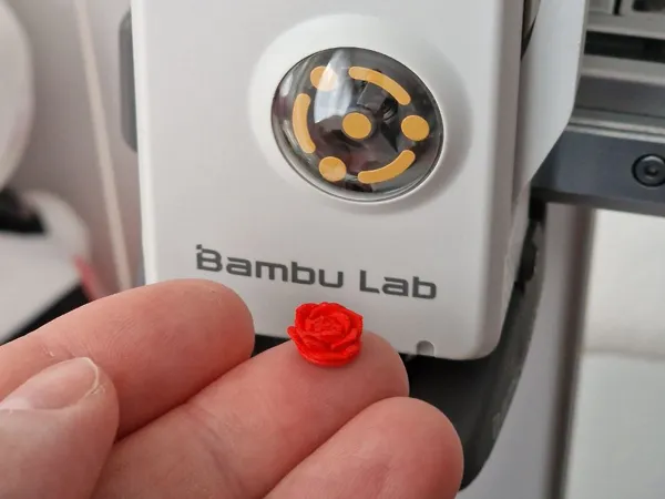 https://makerworld.bblmw.com/makerworld/model/USe23056152cc9b1/design/e11260c44836d640.jpg