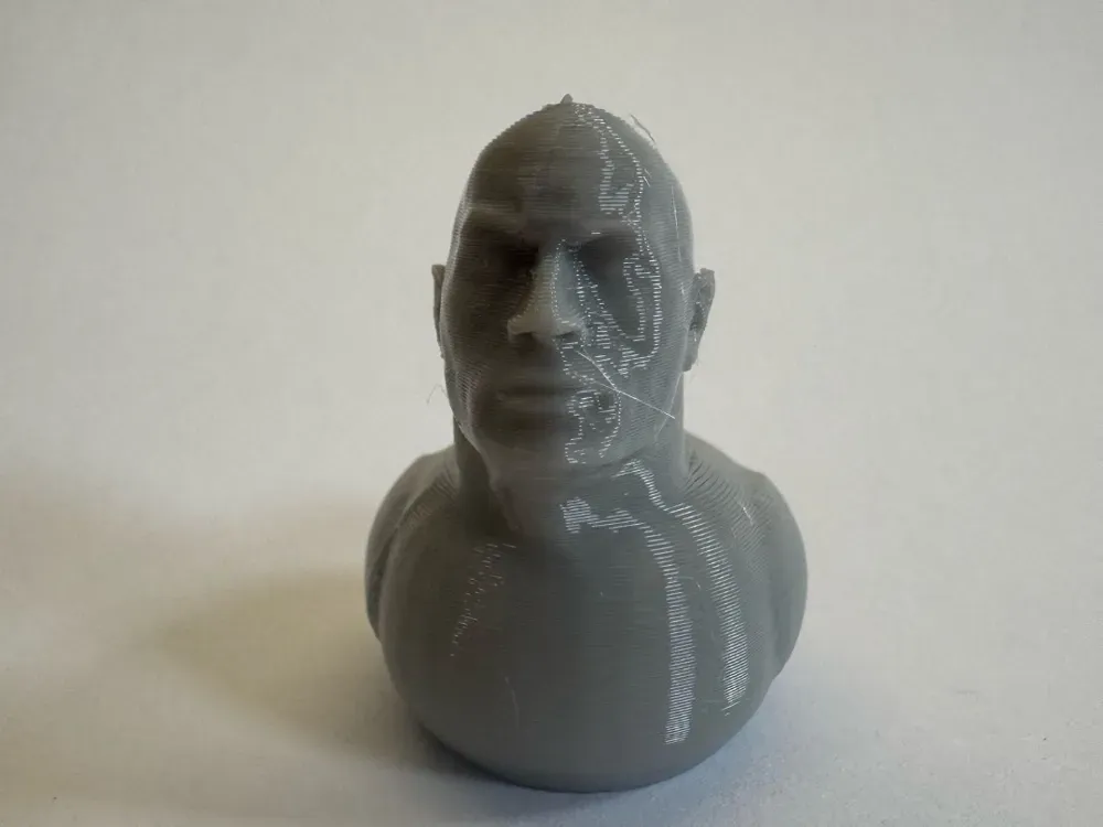 Canard Dwayne The Duck Johnson