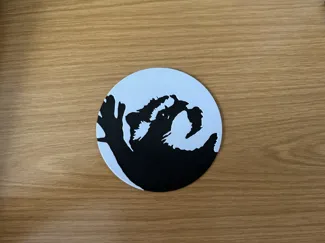 Pedro Raccoon 2D Plate