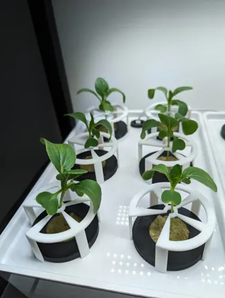 Fully parametric plant support 