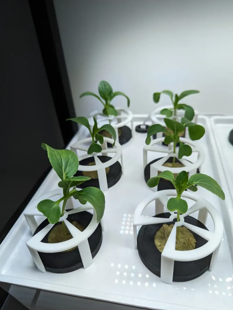 Fully parametric plant support 