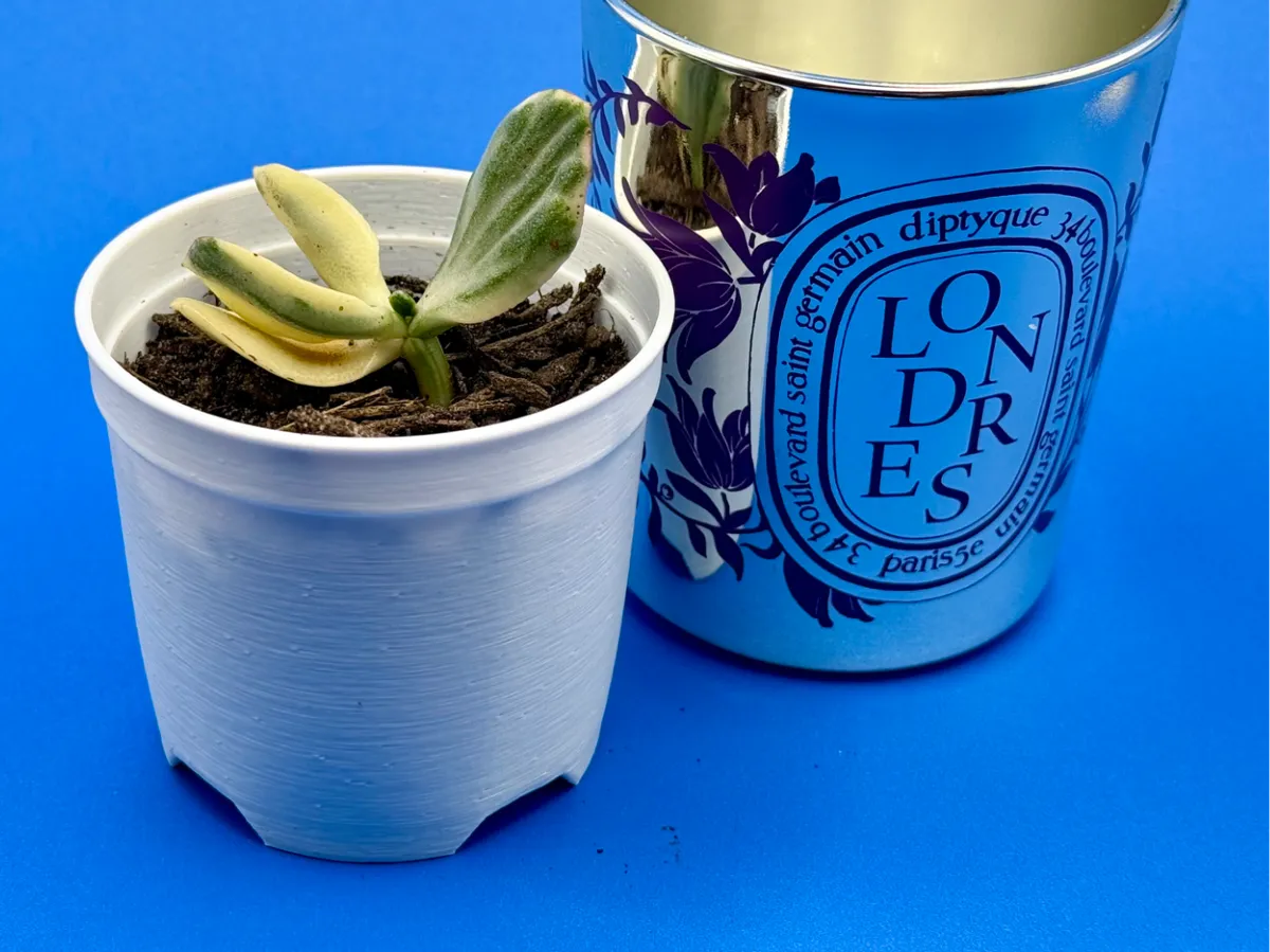 Pot de plante pour bougie Diptyque vide
