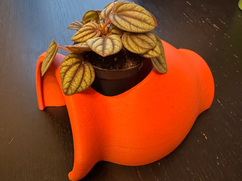 wine jug flower pot