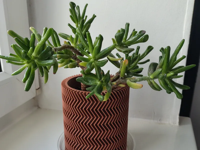 Zig-zag planter